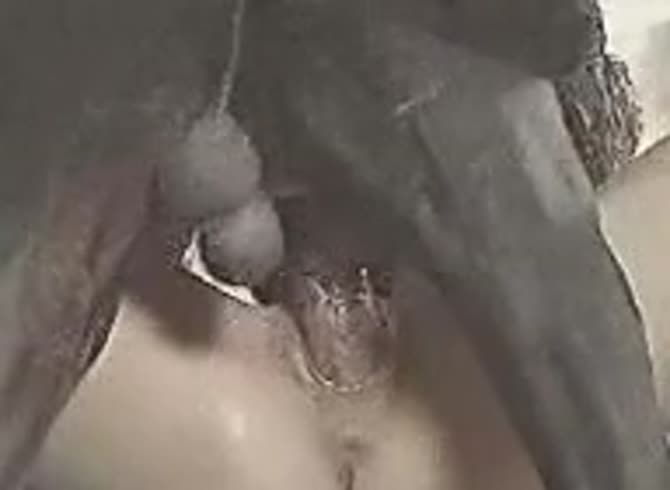 Video :Lady's pussy got stretched with gigantic dog dick inside it